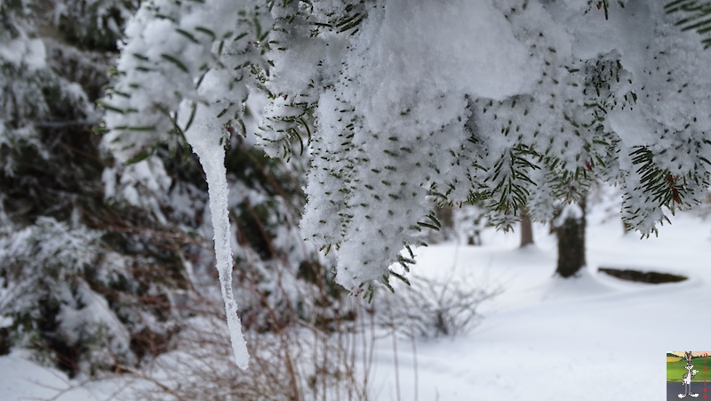 Les 4 Saisons de "Mon Jura" - Page 15 2019-01-12_meteo_04