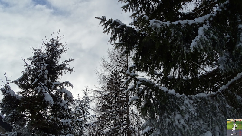 Les 4 Saisons de "Mon Jura" - Page 15 2019-01-12_meteo_05