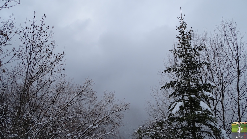 Les 4 Saisons de "Mon Jura" - Page 15 2019-01-12_meteo_09