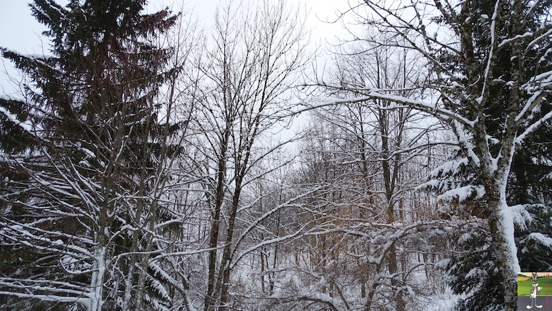 Les 4 Saisons de "Mon Jura" - Page 15 2019-01-12_meteo_10