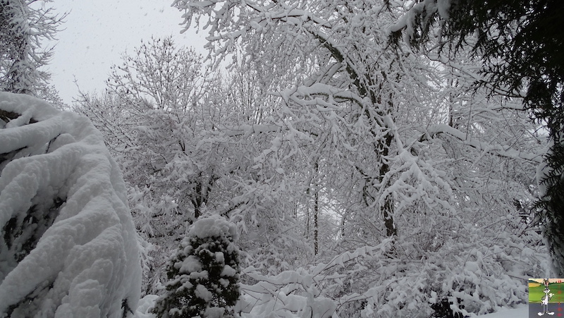 Les 4 Saisons de "Mon Jura" - Page 15 2019-01-13_neige_03
