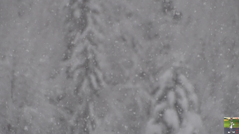 Les 4 Saisons de "Mon Jura" - Page 15 2019-01-13_neige_15