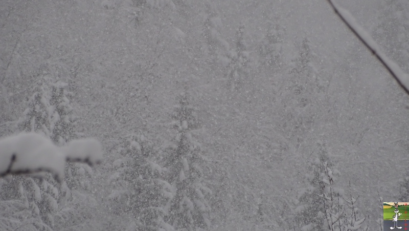 Les 4 Saisons de "Mon Jura" - Page 15 2019-01-13_neige_16