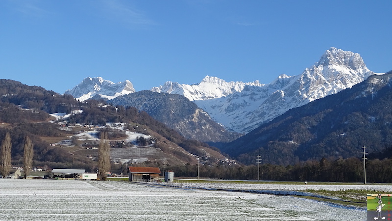 Les 4 Saisons de "Mon Jura" - Page 15 2019-01-19_leman_19