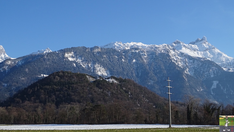 Les 4 Saisons de "Mon Jura" - Page 15 2019-01-19_leman_20