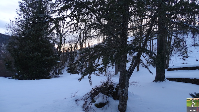 Les 4 Saisons de "Mon Jura" - Page 15 2019-01-26_neige_07