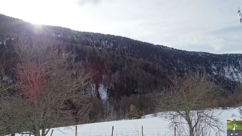 Les 4 Saisons de "Mon Jura" - Page 15 2019-02-02_neige_01
