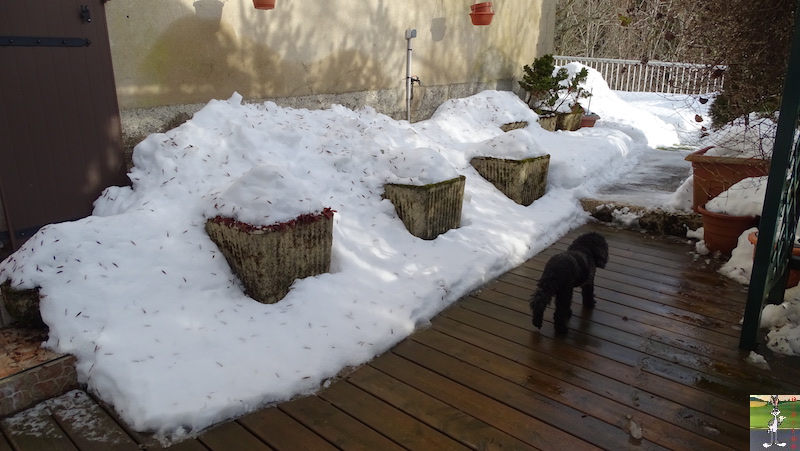 Les 4 Saisons de "Mon Jura" - Page 15 2019-02-02_neige_05