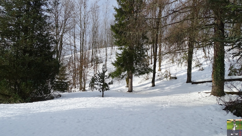 Les 4 Saisons de "Mon Jura" - Page 15 2019-02-02_neige_06