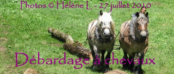 2010-07-27 : Débardage avec des chevaux - Hélène L. Logo
