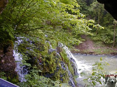 Diverses cascades Lison_0004