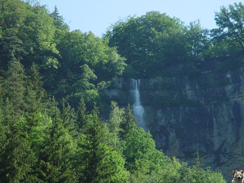 Diverses cascades Queue_cheval_0001