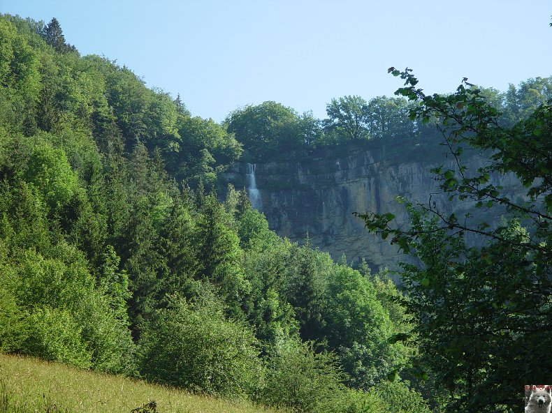 Diverses cascades Queue_cheval_0002