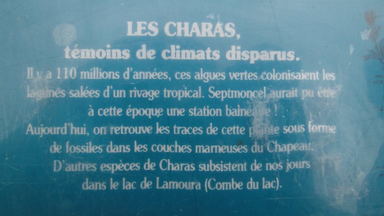 Le Chapeau de Gendarme - Les Lacets de Septemoncel (39). 0022