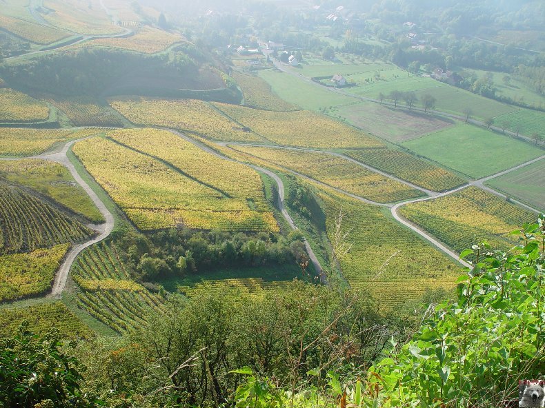 Château Chalon (39) 0009