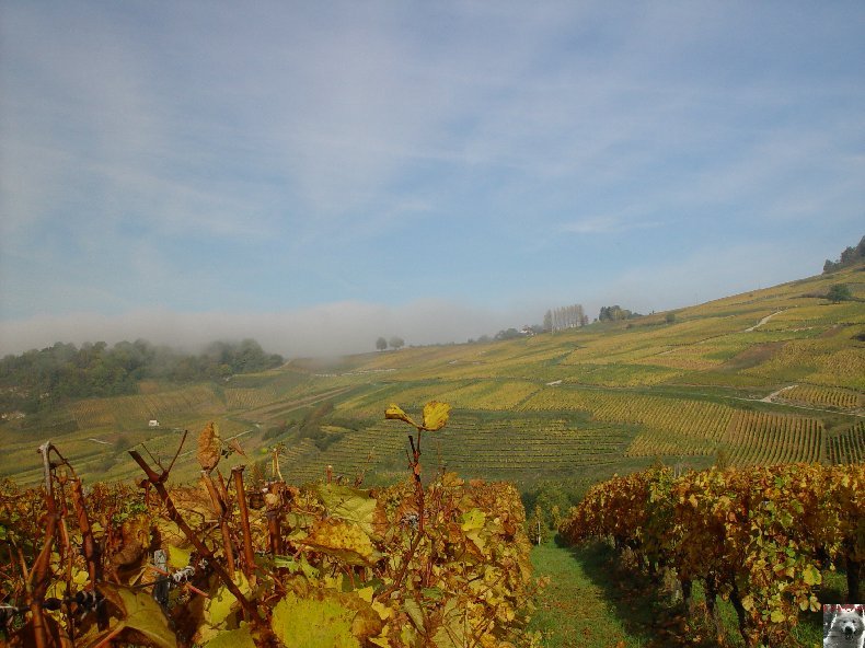 Château Chalon (39) 0010