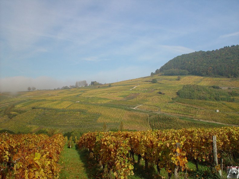 Château Chalon (39) 0011