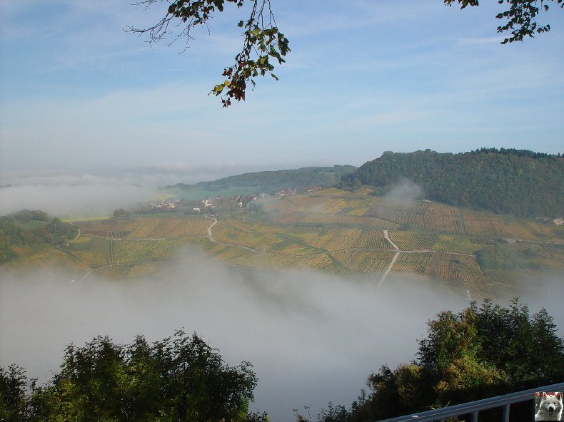 Château Chalon (39) 0012