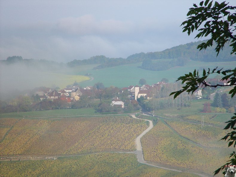 Château Chalon (39) 0013