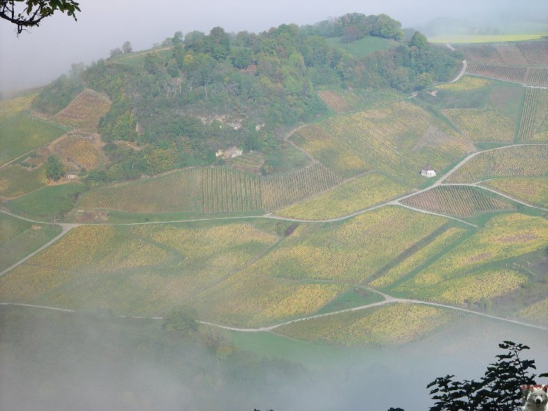 Château Chalon (39) 0015