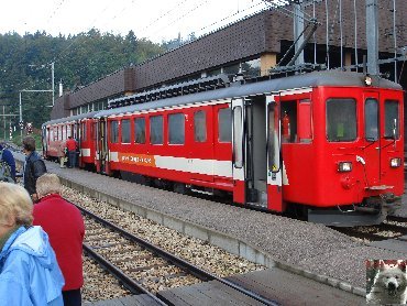 La 19 ème Désalpe de St-Cergue (VD) 0006
