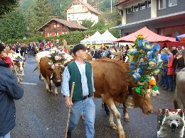 La 19 ème Désalpe de St-Cergue (VD) 0009