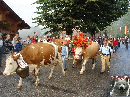 La 19 ème Désalpe de St-Cergue (VD) 0015
