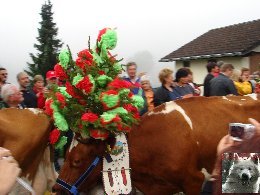 La 19 ème Désalpe de St-Cergue (VD) 0019