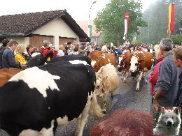 La 19 ème Désalpe de St-Cergue (VD) 0022