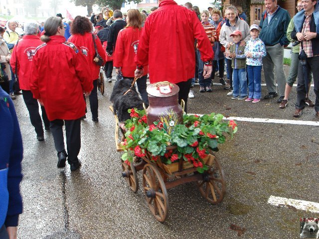 La 19 ème Désalpe de St-Cergue (VD) 0049