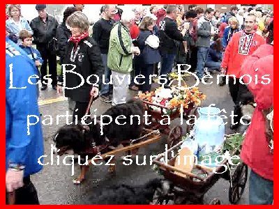 La 19 ème Désalpe de St-Cergue (VD) 0049a
