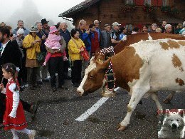 La 19 ème Désalpe de St-Cergue (VD) 0056