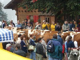 La 19 ème Désalpe de St-Cergue (VD) 0062