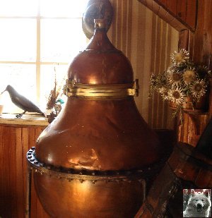 La Gentiane - Fleurs, Racines et Distillation - (25) 0005