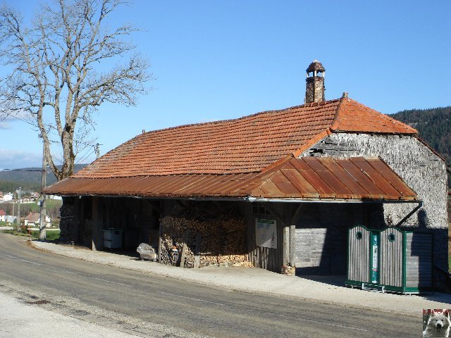 La Gentiane - Fleurs, Racines et Distillation - (25) 0006