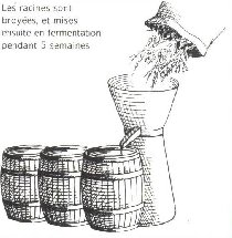 La Gentiane - Fleurs, Racines et Distillation - (25) 0008A