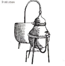 La Gentiane - Fleurs, Racines et Distillation - (25) 0009A