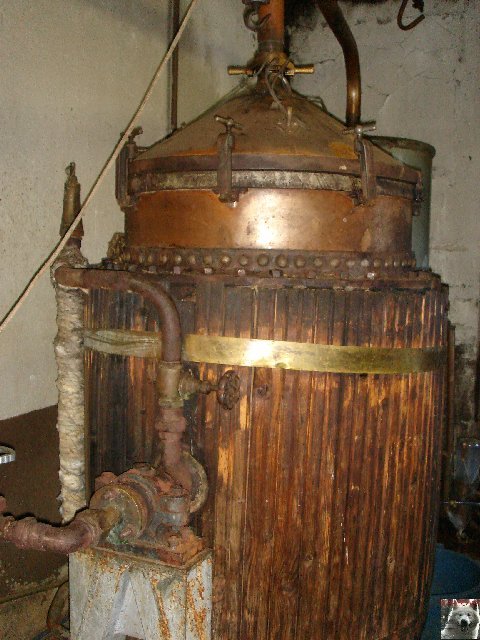 La Gentiane - Fleurs, Racines et Distillation - (25) 0010