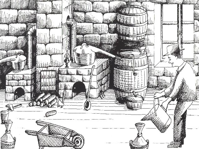 La Gentiane - Fleurs, Racines et Distillation - (25) 0014