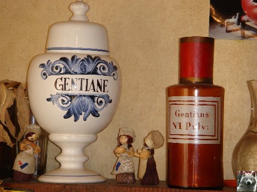 La Gentiane - Fleurs, Racines et Distillation - (25) 0015