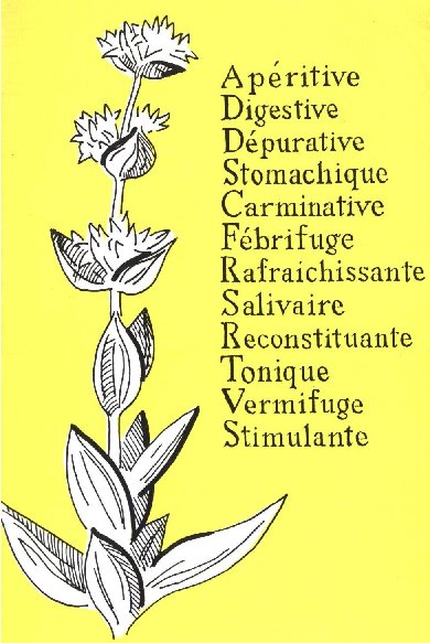 La Gentiane - Fleurs, Racines et Distillation - (25) 0016