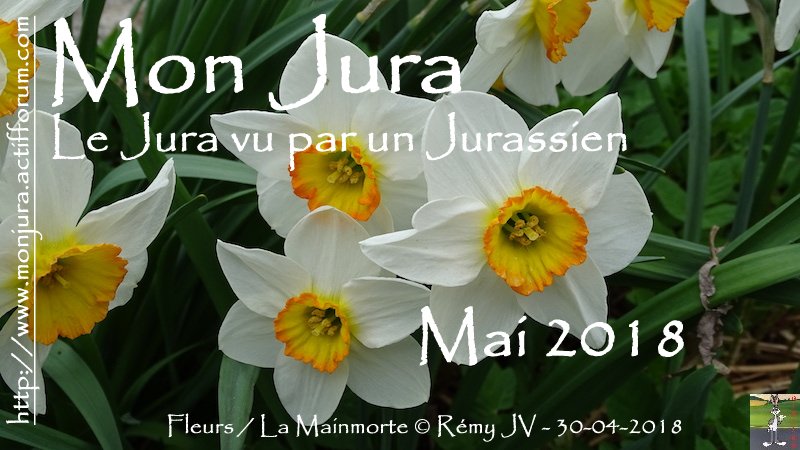 Mon Jura