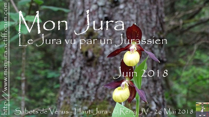 Mon Jura