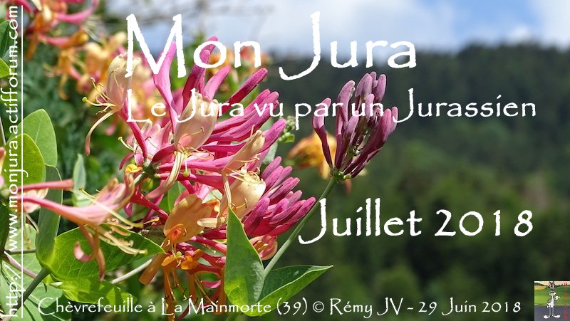 Mon Jura