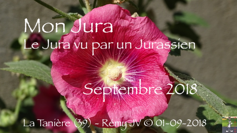 Mon Jura
