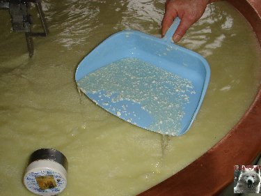 La fruitière à Comté de Grande Rivière [39) 0007