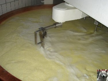 La fruitière à Comté de Grande Rivière [39) 0010