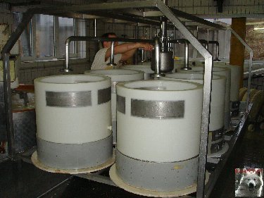 La fruitière à Comté de Grande Rivière [39) 0013