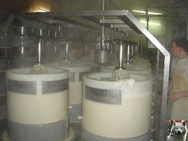 La fruitière à Comté de Grande Rivière [39) 0021