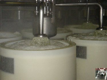 La fruitière à Comté de Grande Rivière [39) 0024